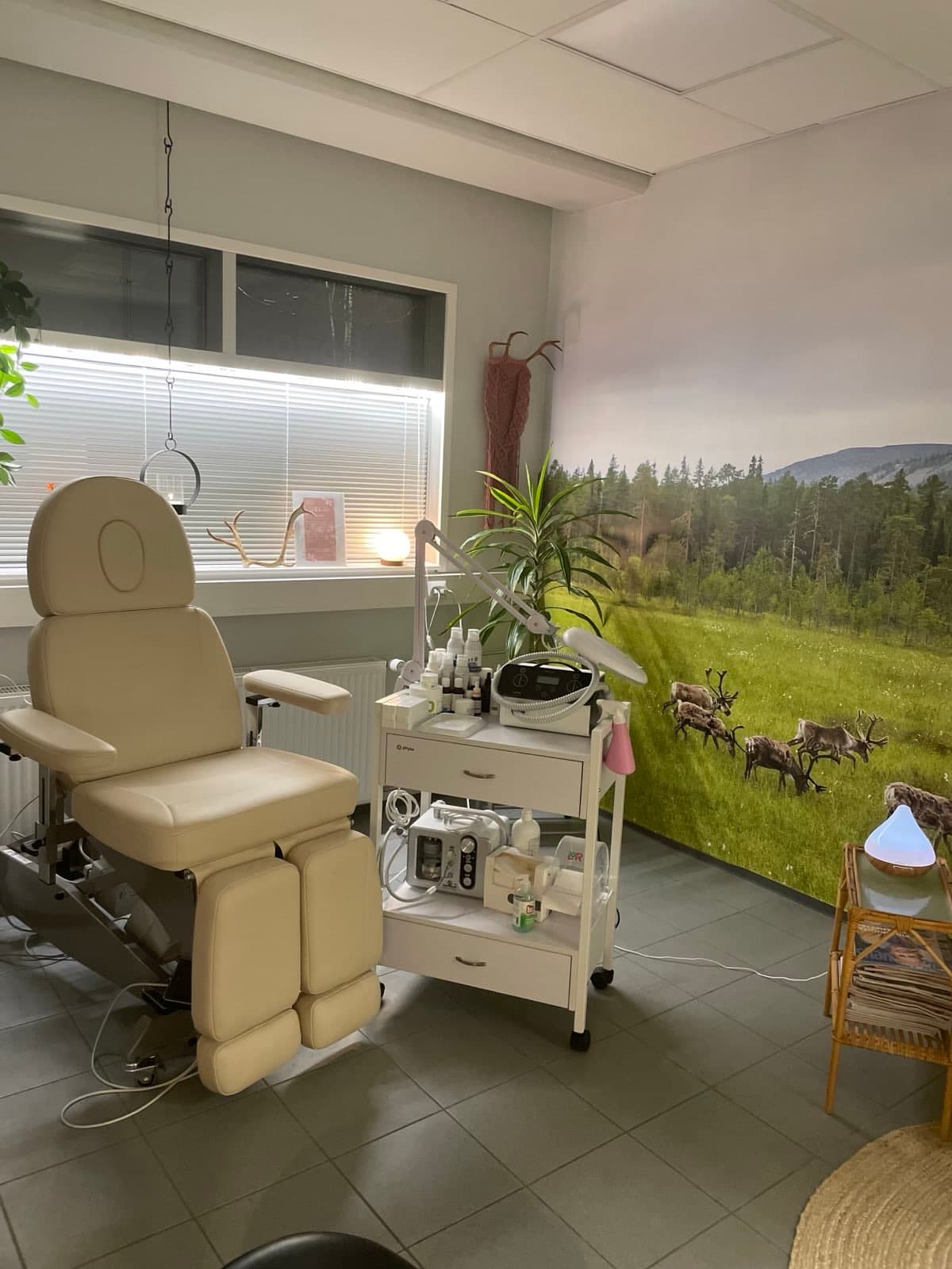 jalkahoito tunturiretken palvelun kuva